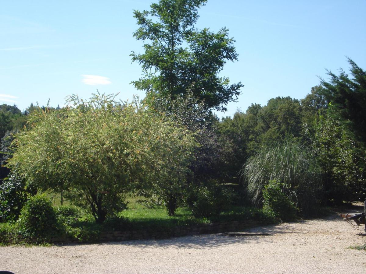 L'Oree Des Bois Dommartin-Les-Cuiseaux Exterior photo